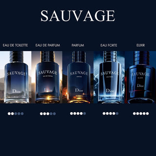 Dior Sauvage Parfum