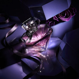 Eau de Parfum75mlKadın ParfümüDuftCollection