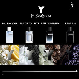 Eau de Parfum60mlErkek ParfümüDuftCollection