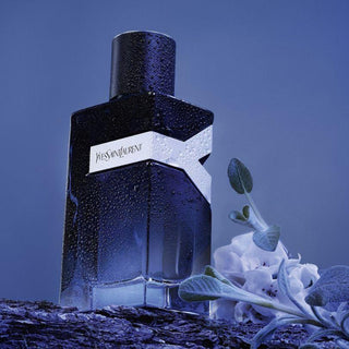 Eau de Parfum60mlErkek ParfümüDuftCollection